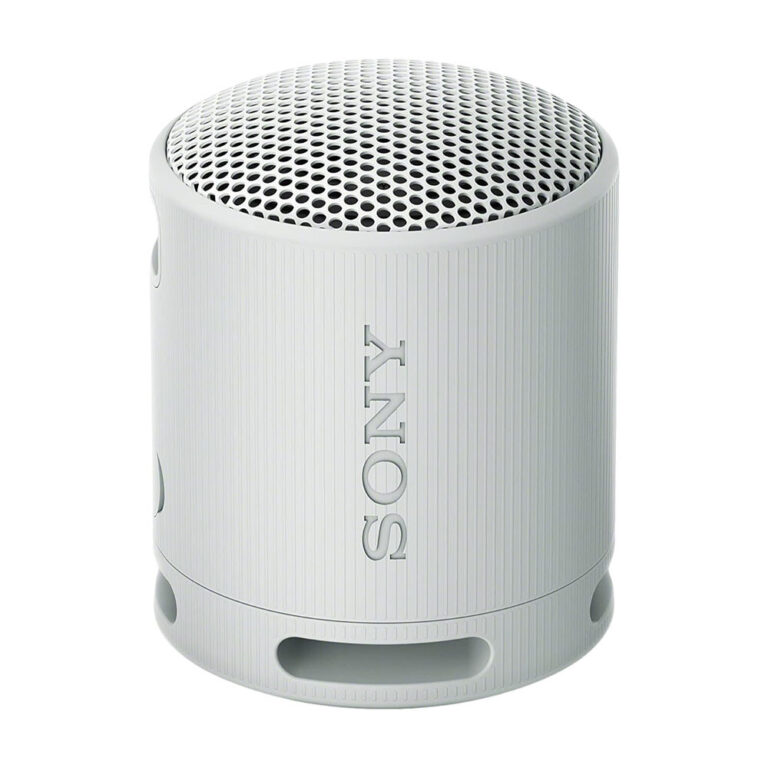 Портативная Bluetooth колонка SRS-XB100 Серый   (50 шт/кор) 1