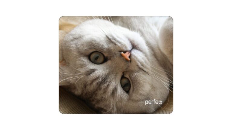 Perfeo Коврик для компьютерной мыши британская кошка Рис.13 (240*200*2) ткань+резиновое основание 1